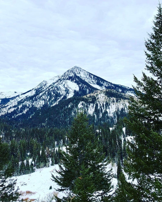 Wasatch Quilt is here!!