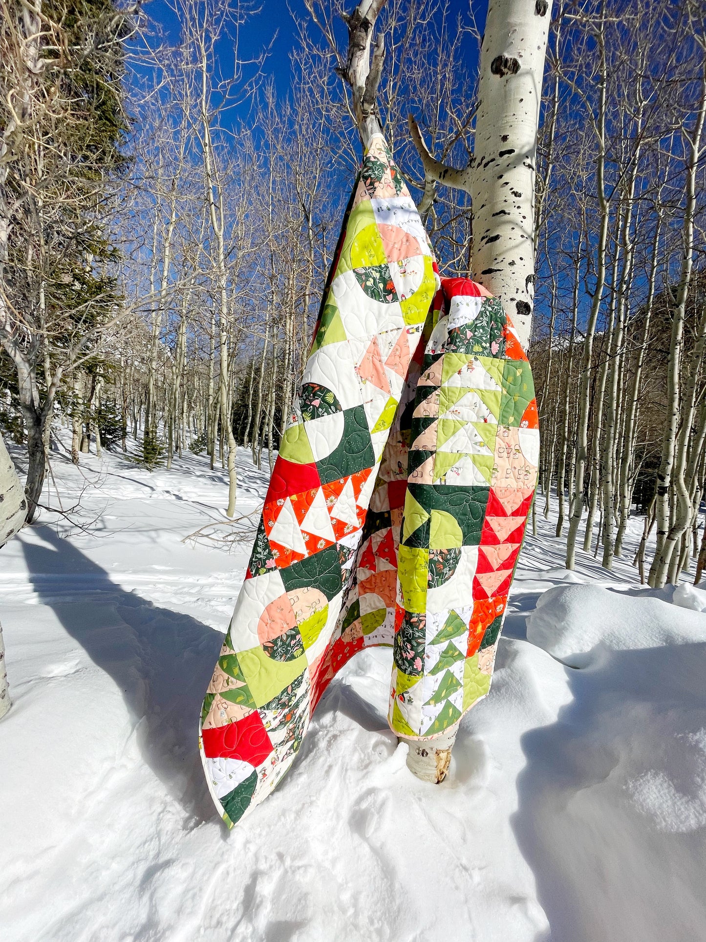 Carrol’s Garden quilt. A geometric quilt with quarter circles distributed with groups of four flying geese. Made of green, red, peach, and white fabrics. Displayed outdoors hanging from a birch tree branch in a snowy field of trees.