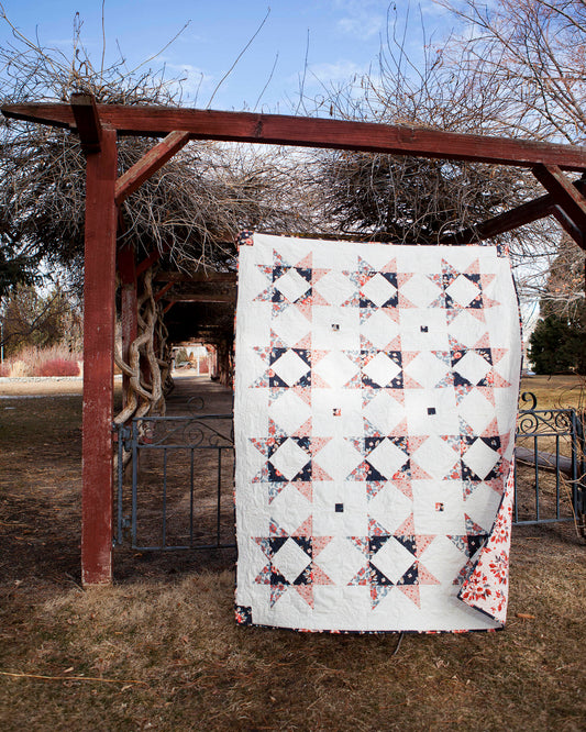 Lilian Star quilt. A geometric star quilt made with peach and navy fabrics on a white background. Displayed outdoors under a trellis with vines in hibernation.
