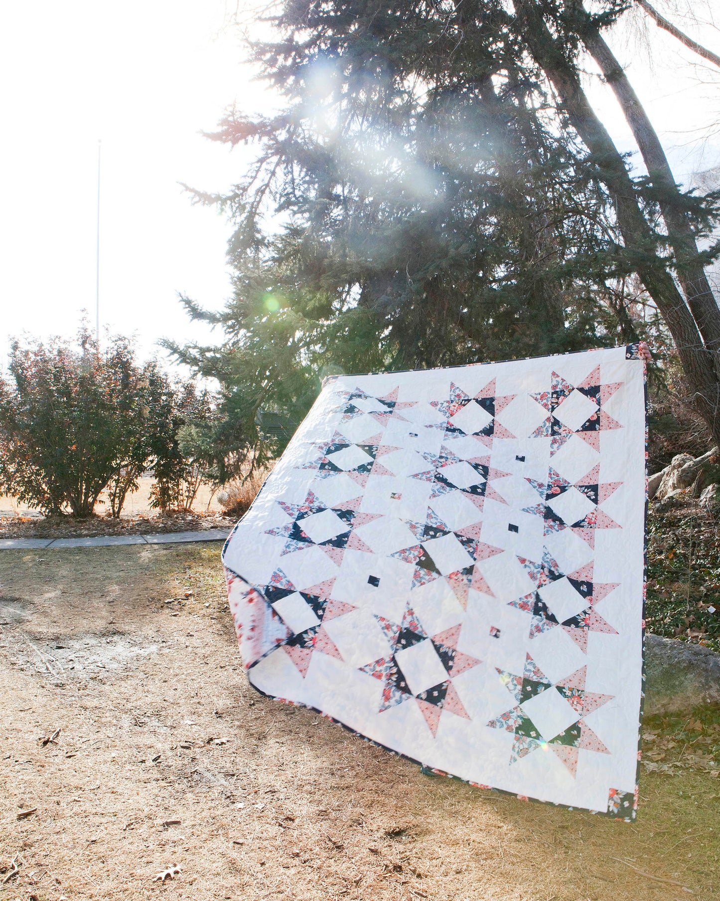 Lilian Star quilt. A geometric star quilt made with peach and navy fabrics on a white background. Displayed outdoors under a several sparce pine trees.